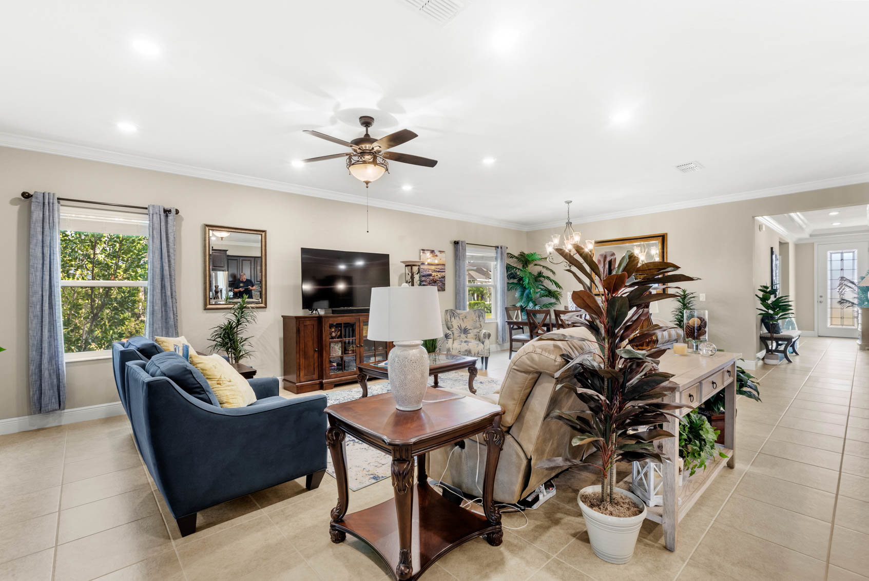 living room with couches and plants
